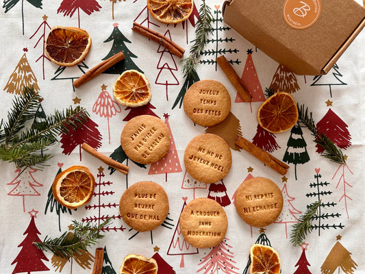 BOÎTE BISCUITS SPÉCIALE TEMPS DES FÊTES