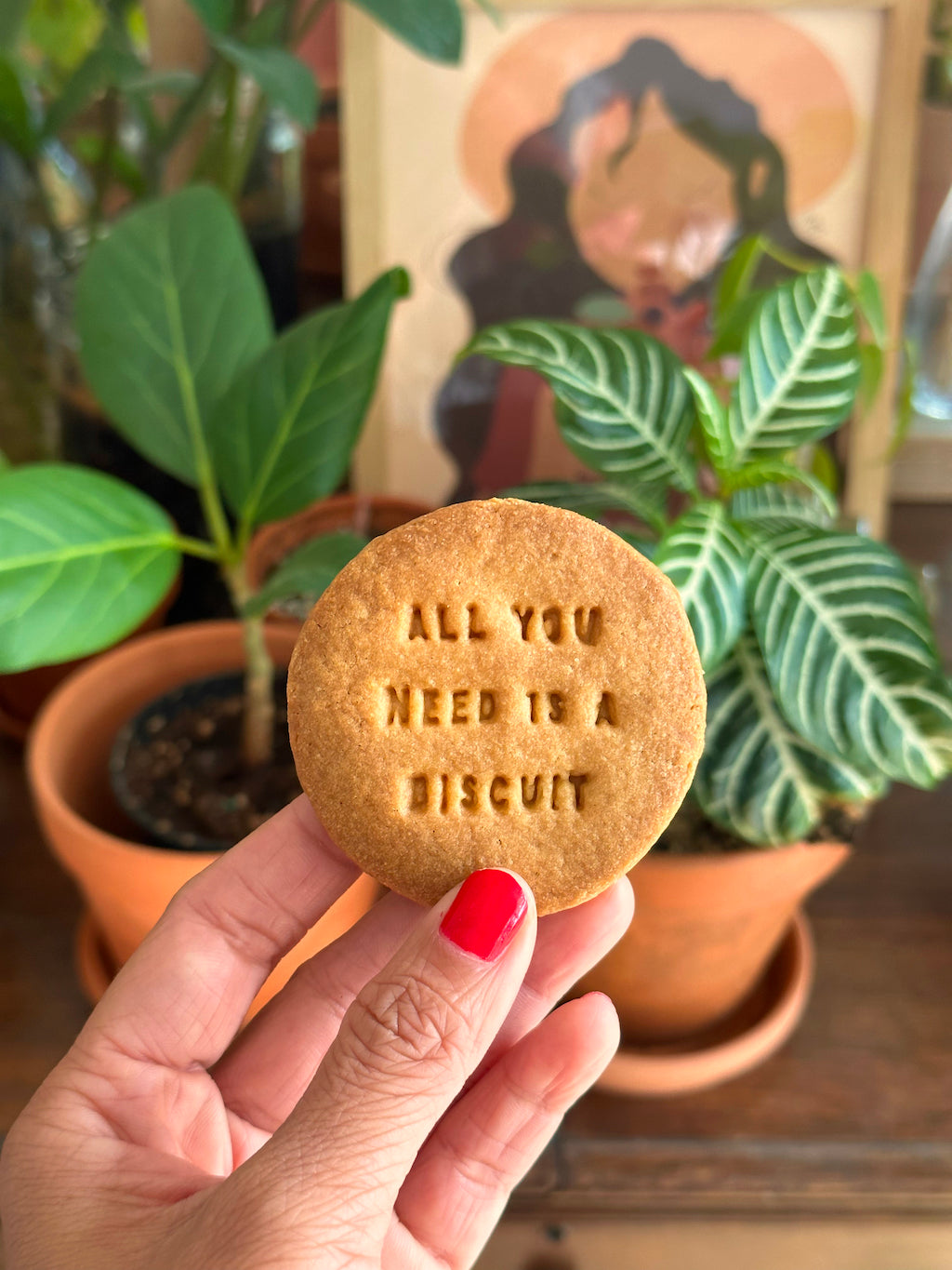 ALL YOU NEED IS A BISCUIT